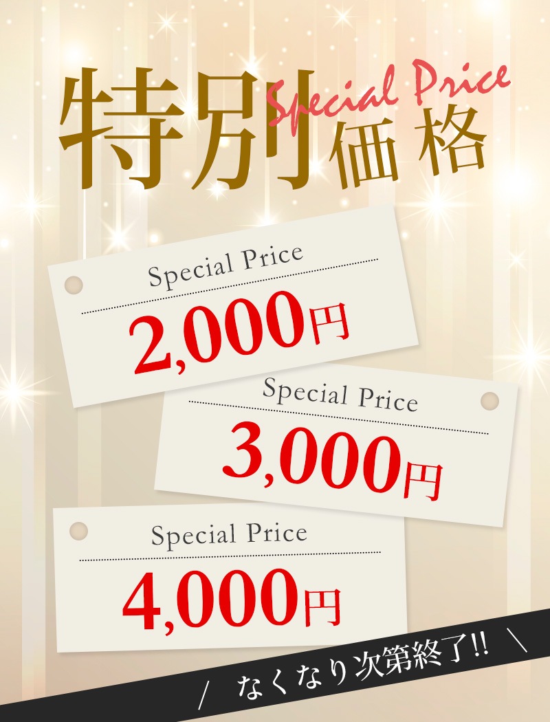 特別価格　2000円／3000円／4000円　なくなり次第終了!!