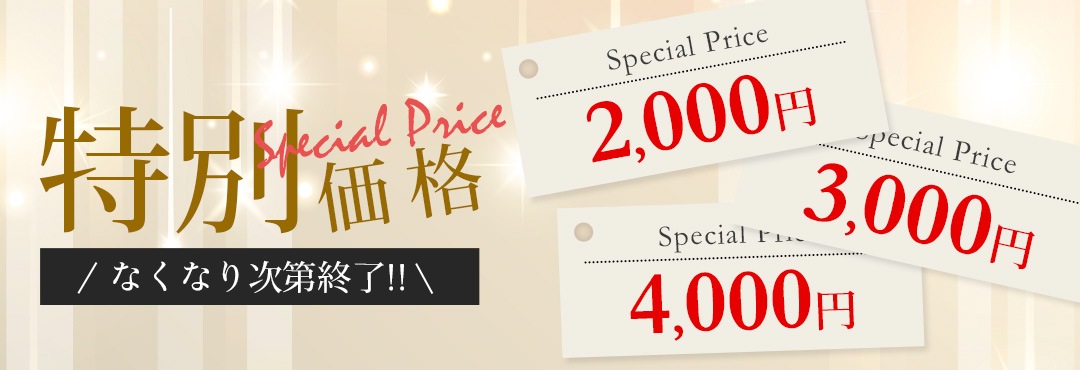 特別価格　2000円／3000円／4000円　なくなり次第終了!!