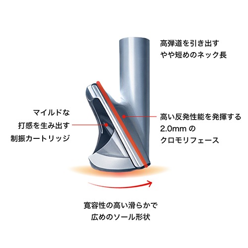 backdesign