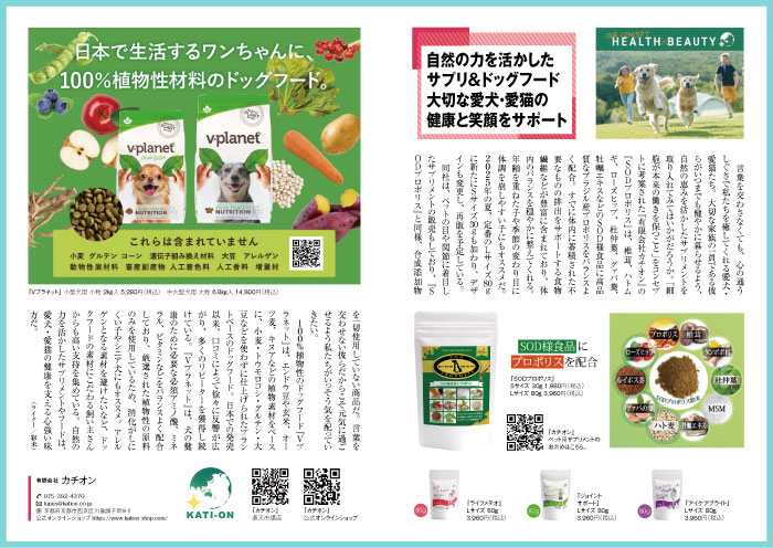 今の大ヒットはこれだ誌面