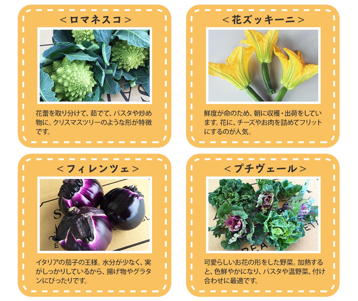 スーパーでは見かけない、ヨーロッパ野菜をご家庭で｜北海道の通販