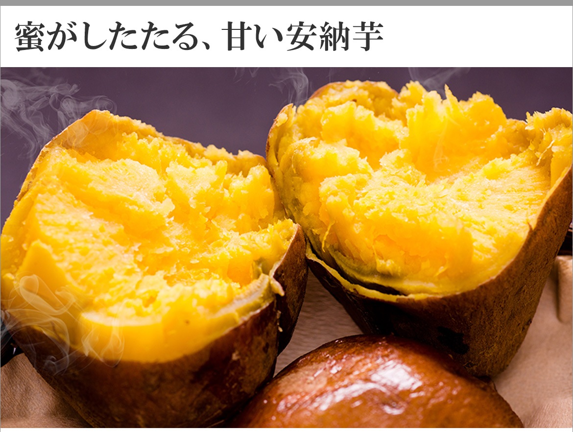 13759円 一番の 北海道産生乳使用 種子島産安納芋を使った蜜芋アイスクリームと焼き芋セット ae
