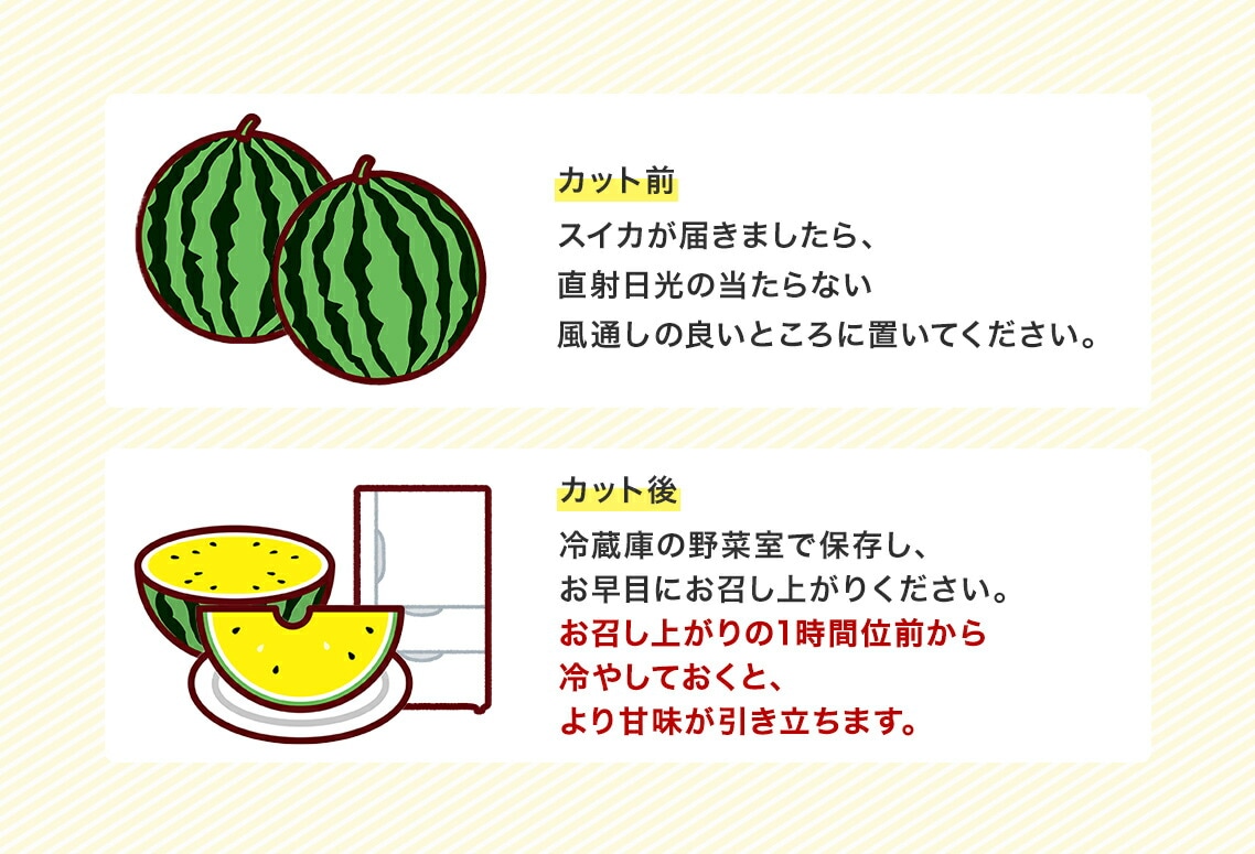 北海道産 金色羅皇 2Lサイズ以上 1玉 5.5-6.5kg前後 金色羅皇 スイカ 黄色 送料無料 こんじきらおう すいか 大玉スイカ 高糖度 甘い  ゴールデンスイカ お取り寄せ 産地直送 贈答 秀品 ギフト 西瓜 夏野菜 国産 お中元 フルーツ 果物 くだもの 予約商品