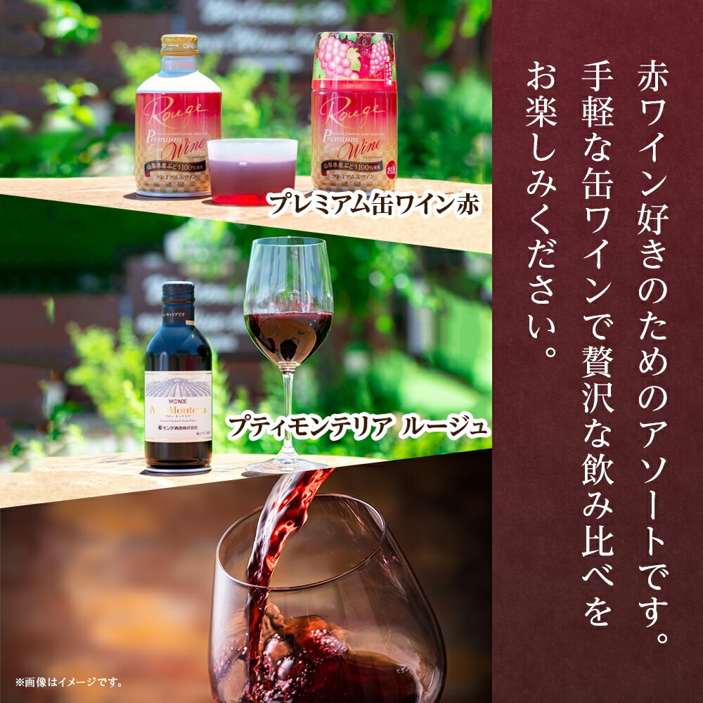 缶ワイン 赤 3種セット 12本入 モンデ酒造 飲み比べ プティモンテリア