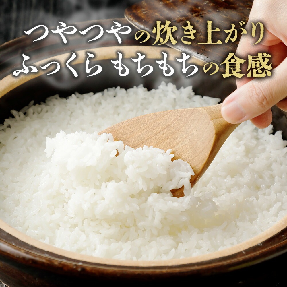 宮城県産 ひとめぼれ 計20kg 宮城県 備蓄 米 コメ 白米 精米 お米