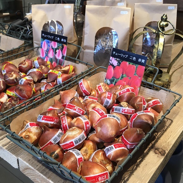 Royal Gardener S Club