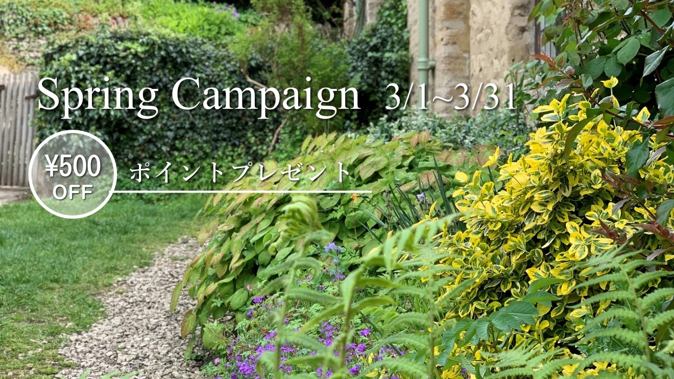 �������500pt202603�ȥå�