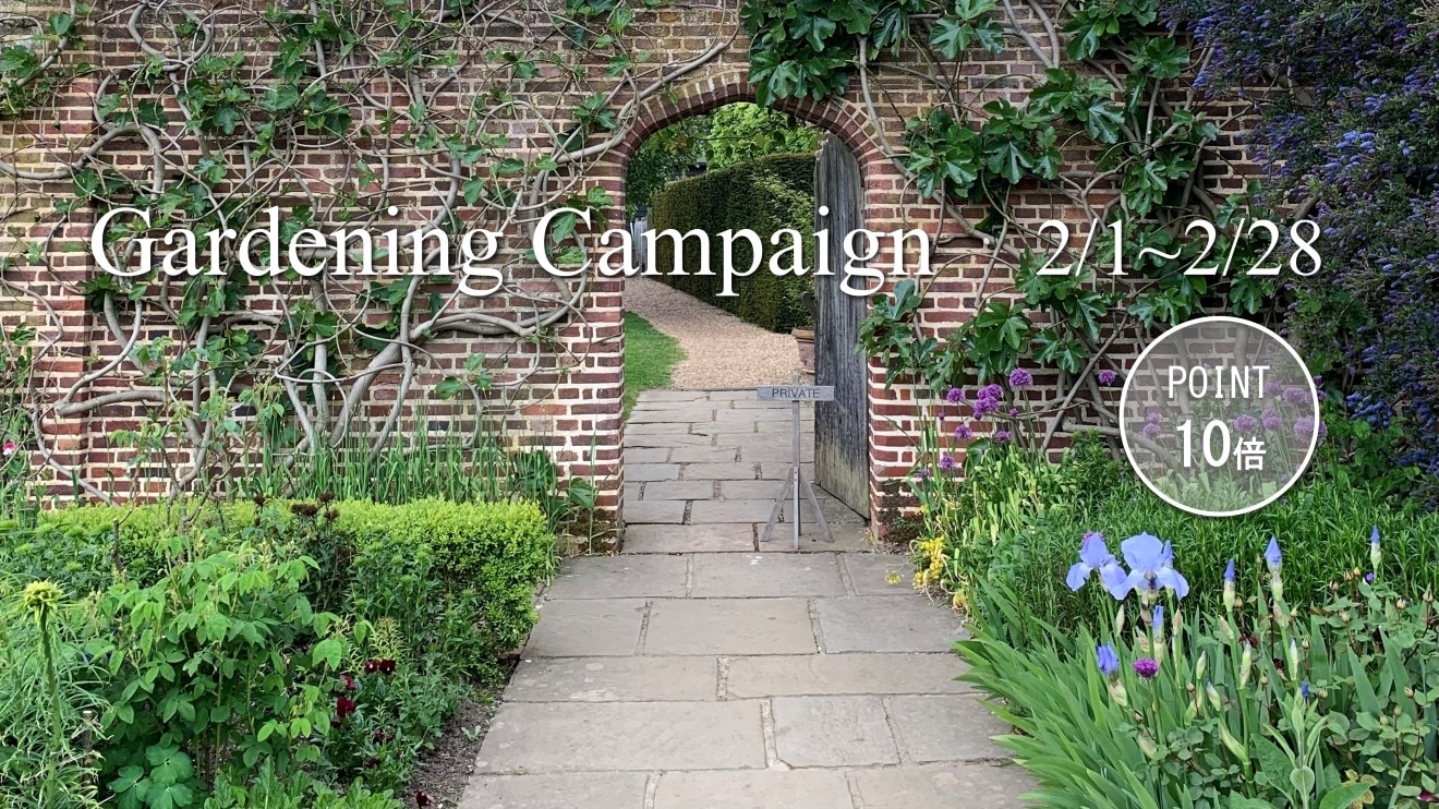 �ե����ǥ˥�CP�ȥå�