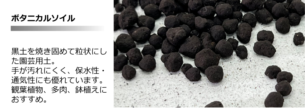 �ܥ��˥��륽����