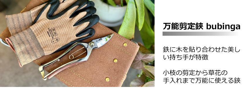 �Ϥ���bubinga