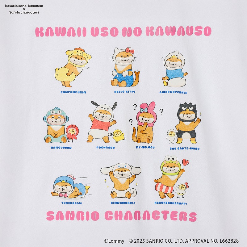 カワウソ×サンリオキャラクターズ 10個(kawauso x sanrio) kawaiiusono kawauso×sanrio characters POP UP STORE(2025/8/29(金