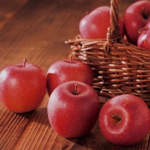 ���Τ�󤴡��������ߥ��եȡ�