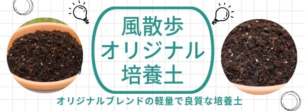 軽量！風散歩オリジナル培養土