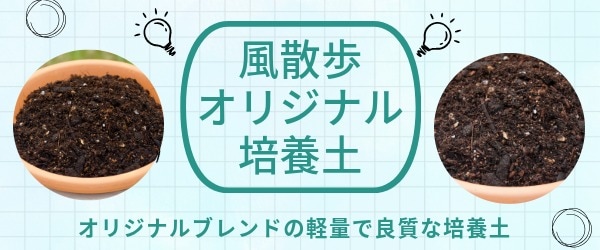 軽量！風散歩オリジナル培養土