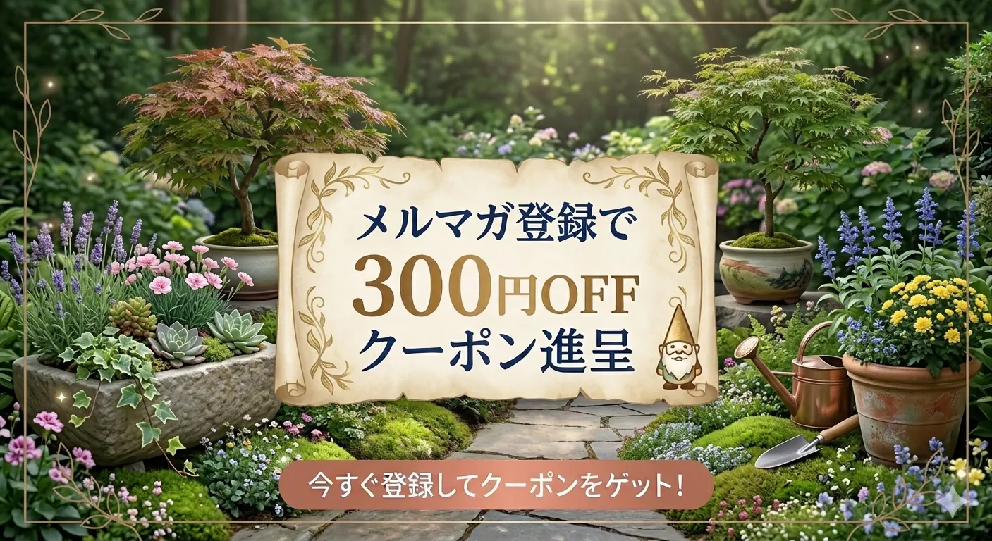 メルマガ登録で300円OFFクーポン進呈