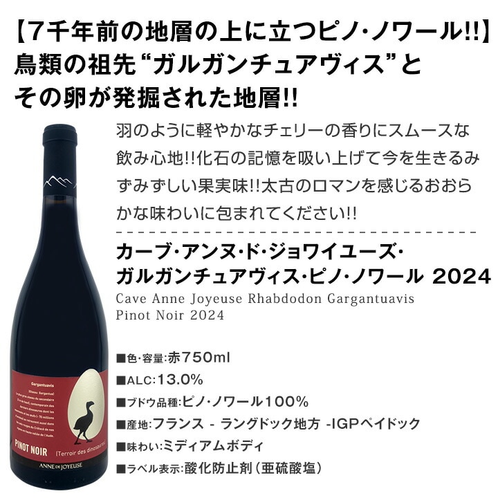 送料無料】極旨ブルゴーニュ入り☆厳選フランス産ピノ・ノワール3本