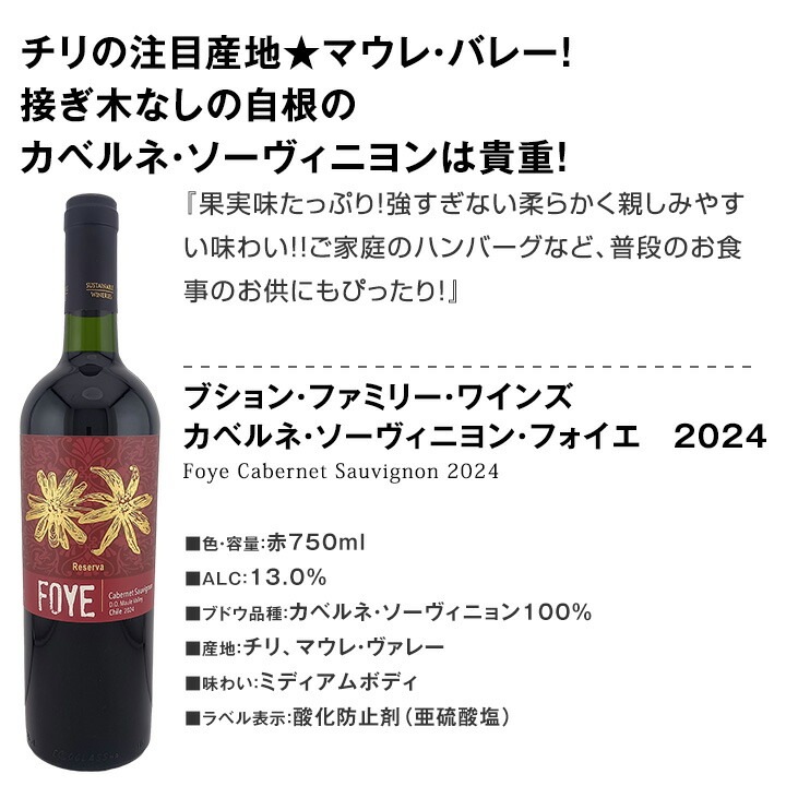 送料無料】第98弾！当店オススメばかりを厳選したちょっといい赤ワイン