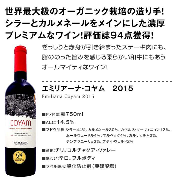 送料無料 チリのスーパープレミアム3本セット セットワイン 赤ワインセット 京橋ワイン