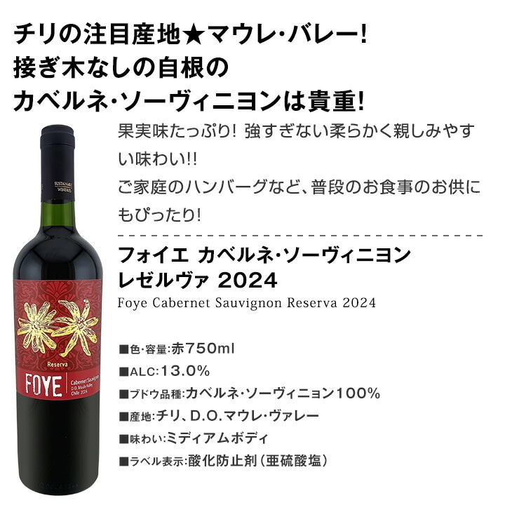 送料無料】第99弾！当店オススメばかりを厳選したちょっといい赤ワイン