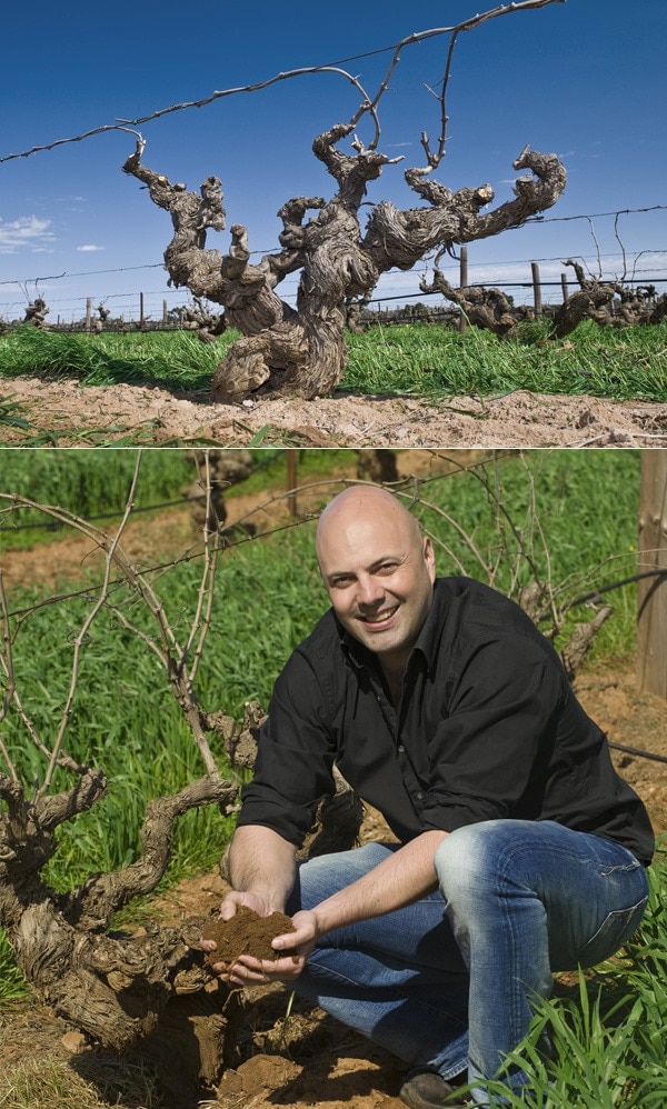 美品【定価2.4万】完売BEARDSLEY ペイズリージャガードキュロット 中古・古着通販】BEARDSLEY (ビアズリー) ペイズリージャガード