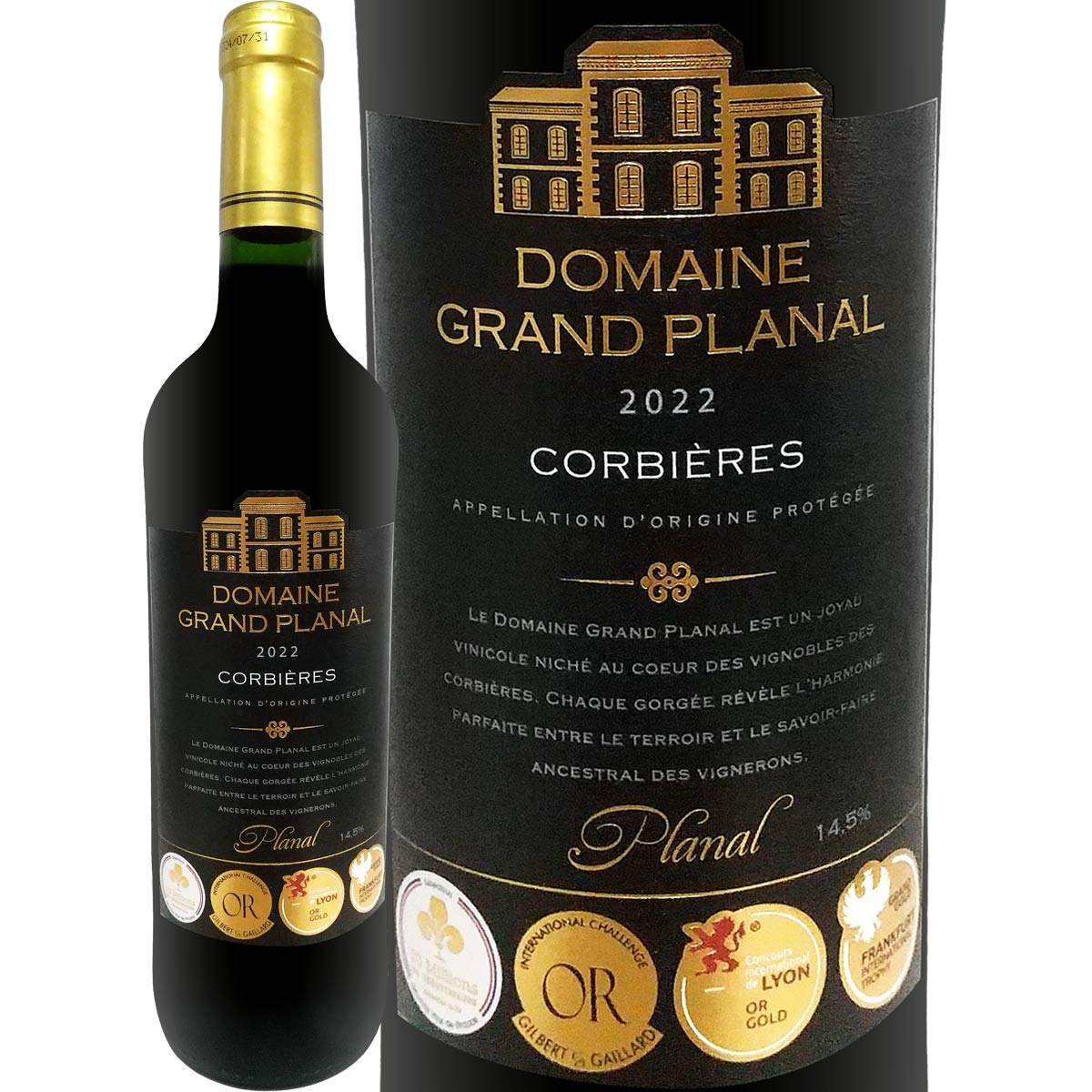 絢爛たるグランドセーヌ 1～22、28 SC-1005-33-Q.png?v=1697431256&