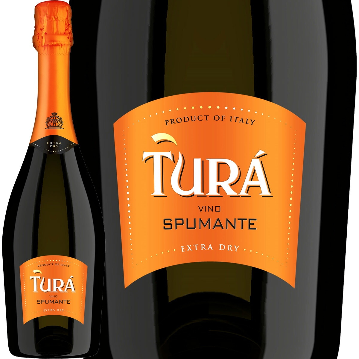 イタリア スプマンテ　２本セット イプシロン・スプマンテ 750ml 2本セット / カ・ディ・ライオ 【 3781