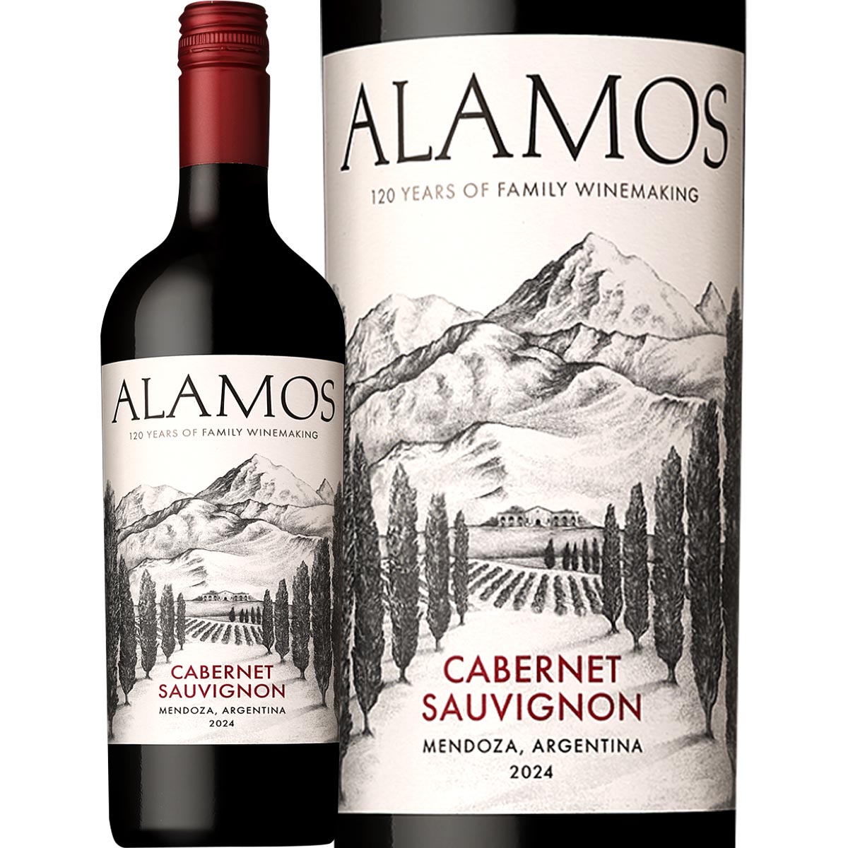 カテナ・アラモス・カベルネ・ソーヴィニョン （最新ヴィンテージ）<br