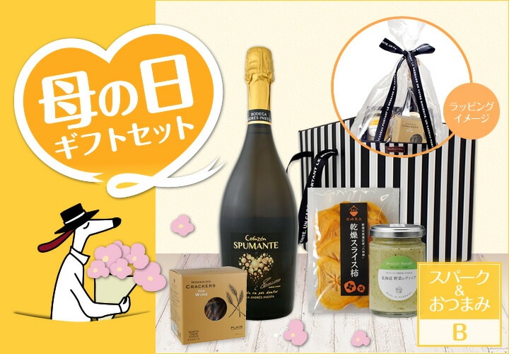 送料無料 母の日ギフトセット泡b プレゼント ギフト 実用的 母親 誕生日 ワイン スパークリング セット スパークリングワイン お酒 スパークリングワインセット ワインセット 750ml セットワイン スパークリングワインセット 京橋ワイン