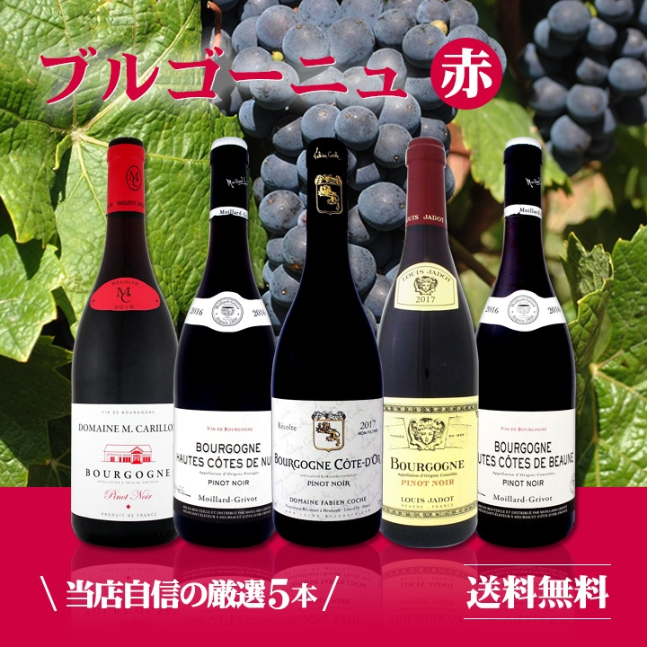 送料無料】厳選ブルゴーニュ赤ワイン5本セット! | ワインセット