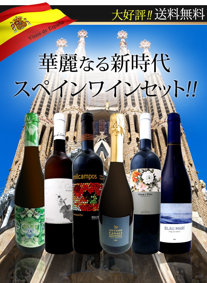 送料無料】華麗なる新時代スペインワイン6本セット!!ワイン ワイン