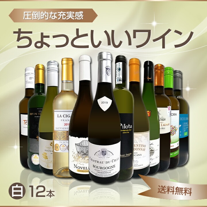 ヴィノテーク2019年号 12冊セット ワイン専門誌 ヴィノテーク 2019年