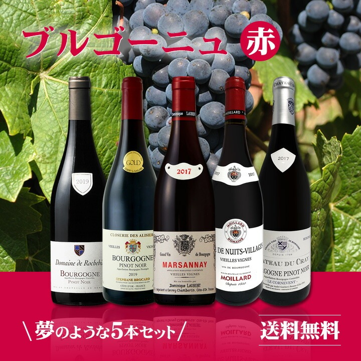 送料無料】厳選ブルゴーニュ赤ワイン5本セット! | ワインセット