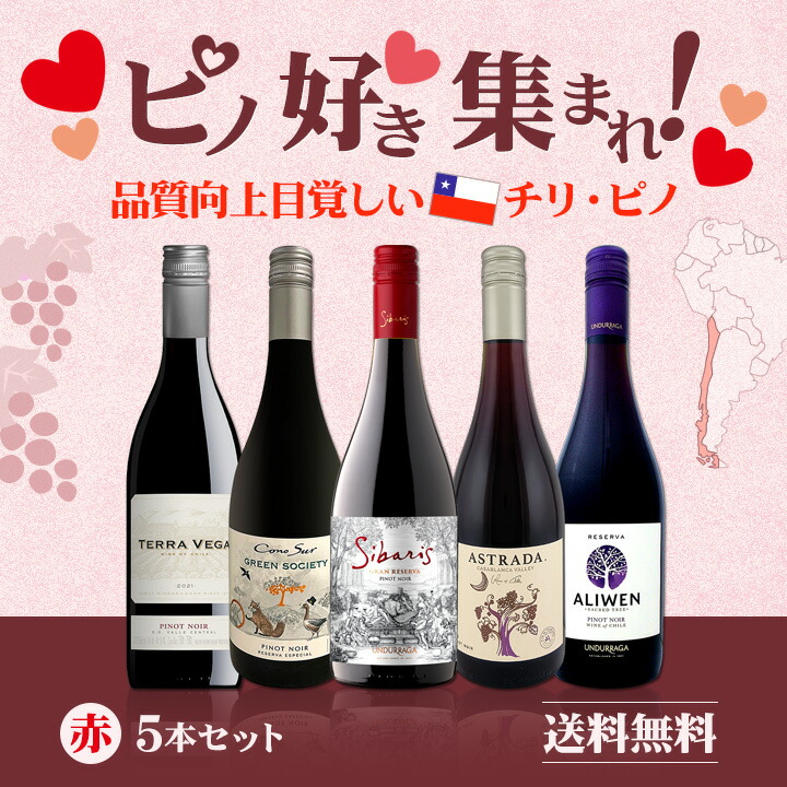 送料無料】ピノ好き集まれ！品質向上目覚しいチリ・ピノ5本