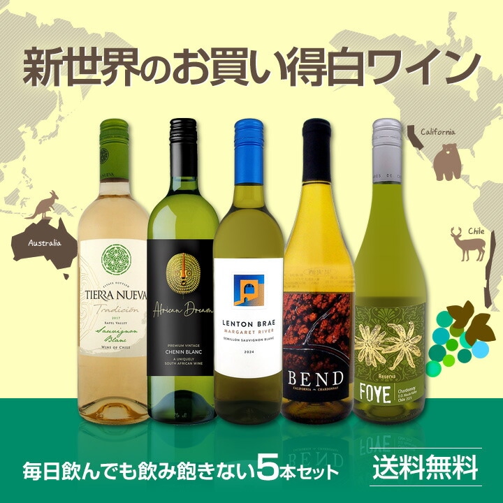 高級　新世界系ワイン5本セット　送料無料 送料無料】初登場の当店独自輸入の白をメインに、新世界のお買い得白