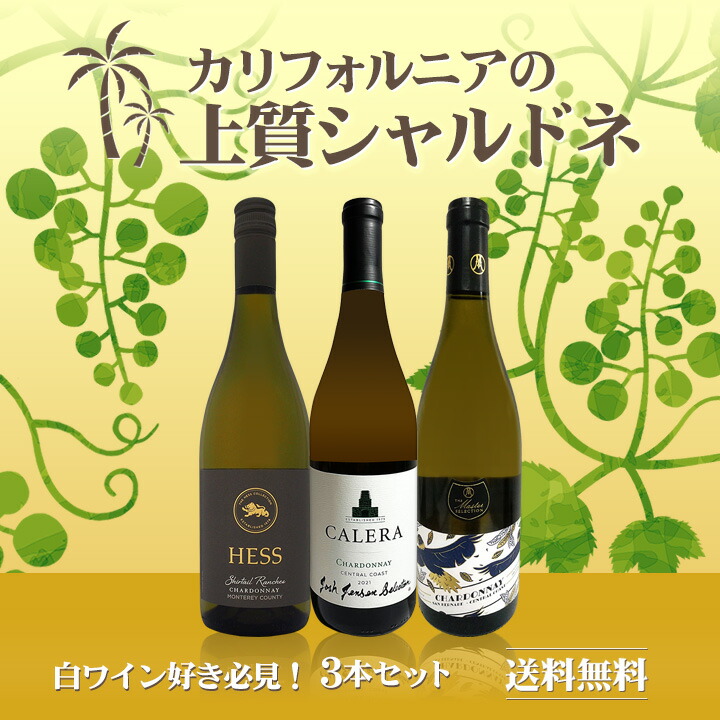 ワイン ラベル ワインラベルレコーダー（12枚入）【コレクター用ワイン ...