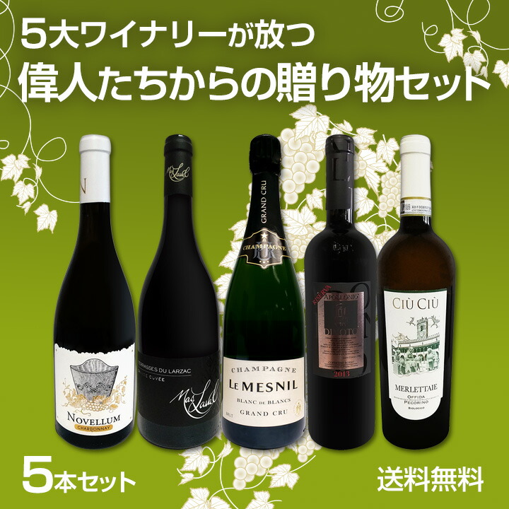 ニコラス・カテナ・サパータ2020<br><br>【アルゼンチン】【赤ワイン】【750ml】【自根】【世界ナンバーワン・ブランド】【パーカー95点】【【 catena】 | 赤ワイン | 京橋ワイン