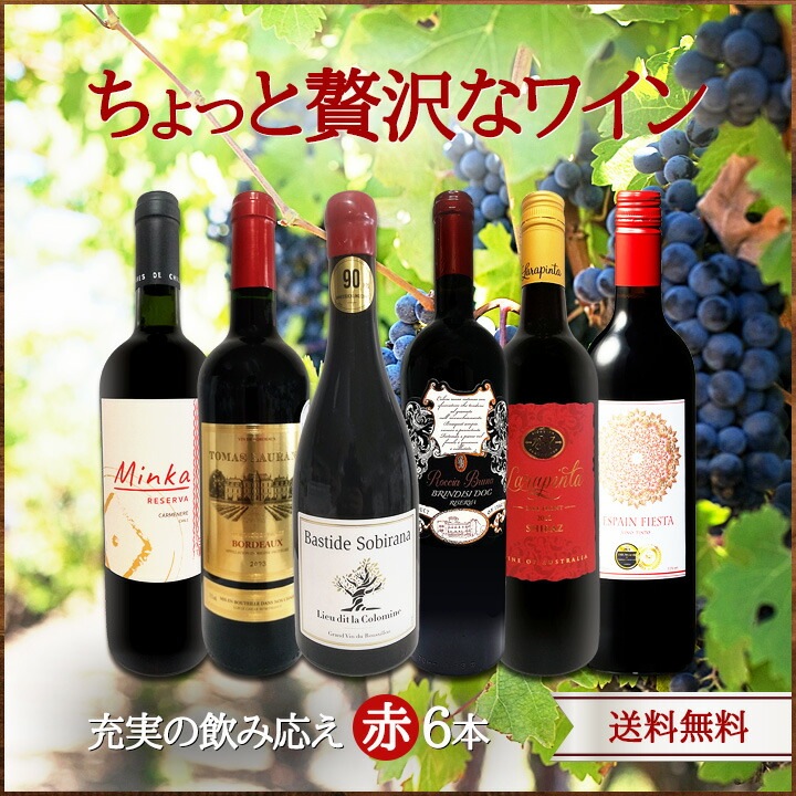 送料無料】第176弾！当店厳選！これぞ極旨赤ワイン！『大満足！充実の