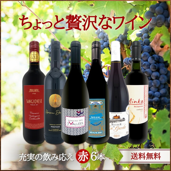 送料無料】第178弾！当店厳選！これぞ極旨赤ワイン！『大満足！充実の