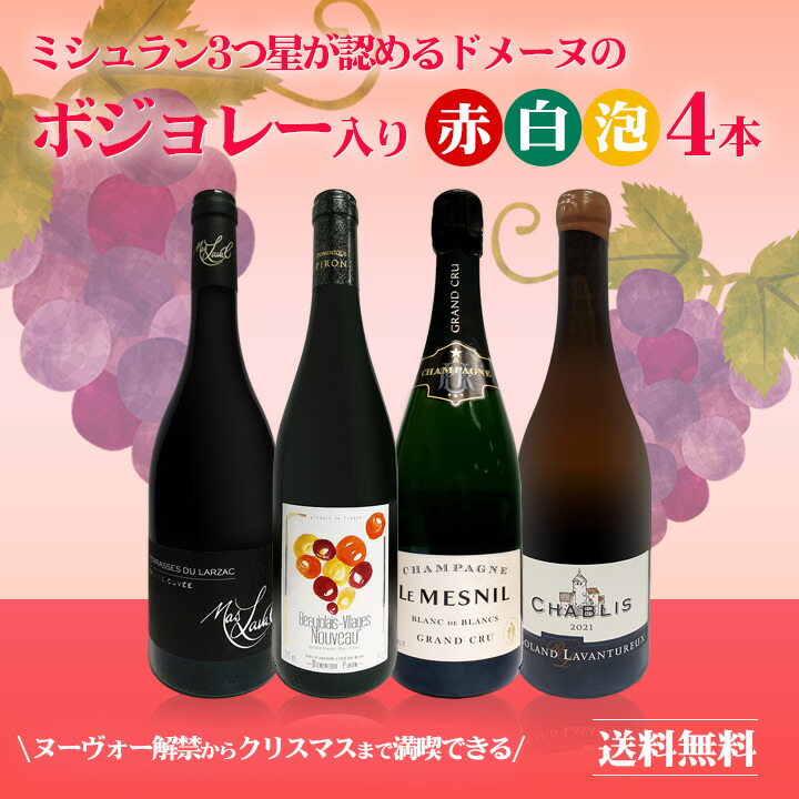 ボジョレー ヌーボー 2025 【新酒先行予約11月20日以降お届け】【送料