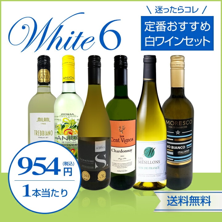 送料無料】第228弾！美味しい辛口白ワインだけを当店が厳選