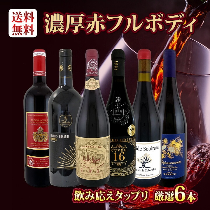 送料無料】第60弾!≪濃厚赤ワイン好き必見!≫大満足のフルボディ6本