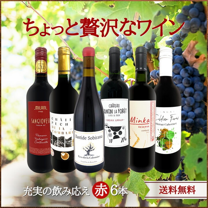 ♥【限定品入】♥ワインで楽しめる・ホームパーティーに♥豪華なワイン４種５本セット フランス4冠含む金賞受賞赤ワイン6本セット | JTBショッピング ワイン