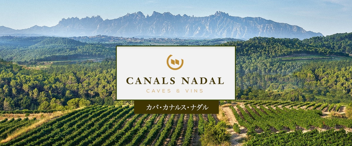 フランス軍外人部隊 赤ワイン 2023 楽天市場】レ ヴィオレット [2023] 赤ワイン フルボディ 750ml