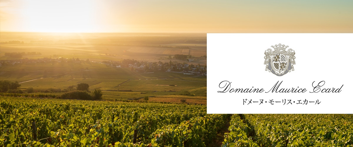 トロピカルウインド 2004 スペイン トロピカルウインド 2004 スペイン