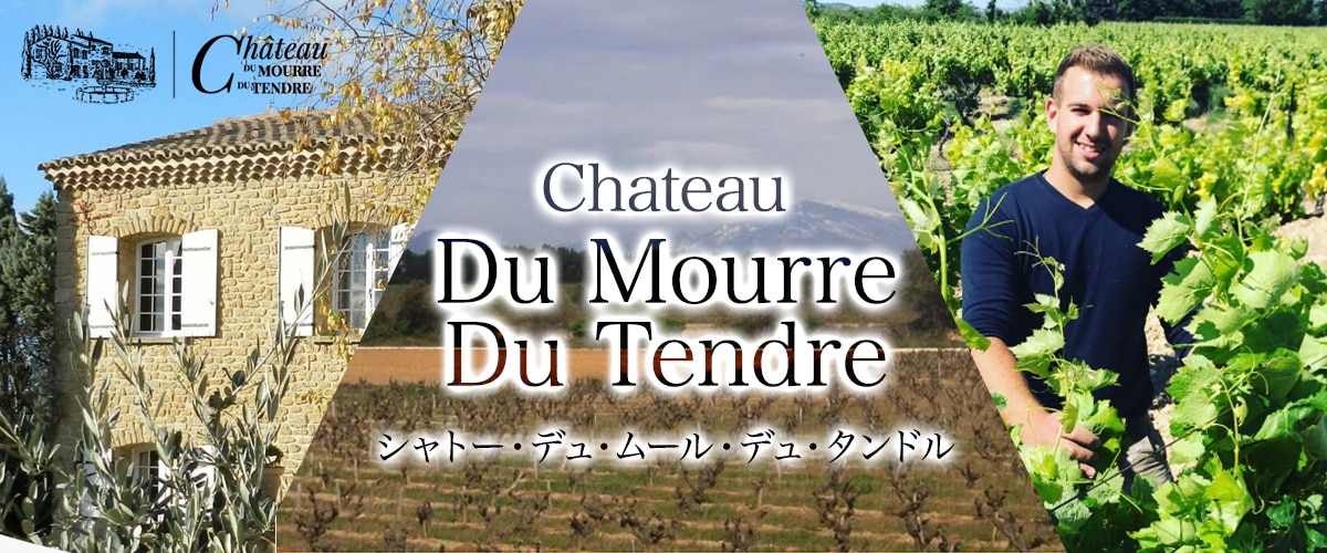 ����ȡ����ǥ塦�ࡼ�롦�ǥ塦����ɥ�