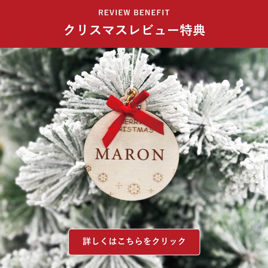 クリスマスレビュー特典バナー