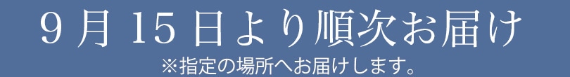 順次お届け ※指定の場所へお届けします。