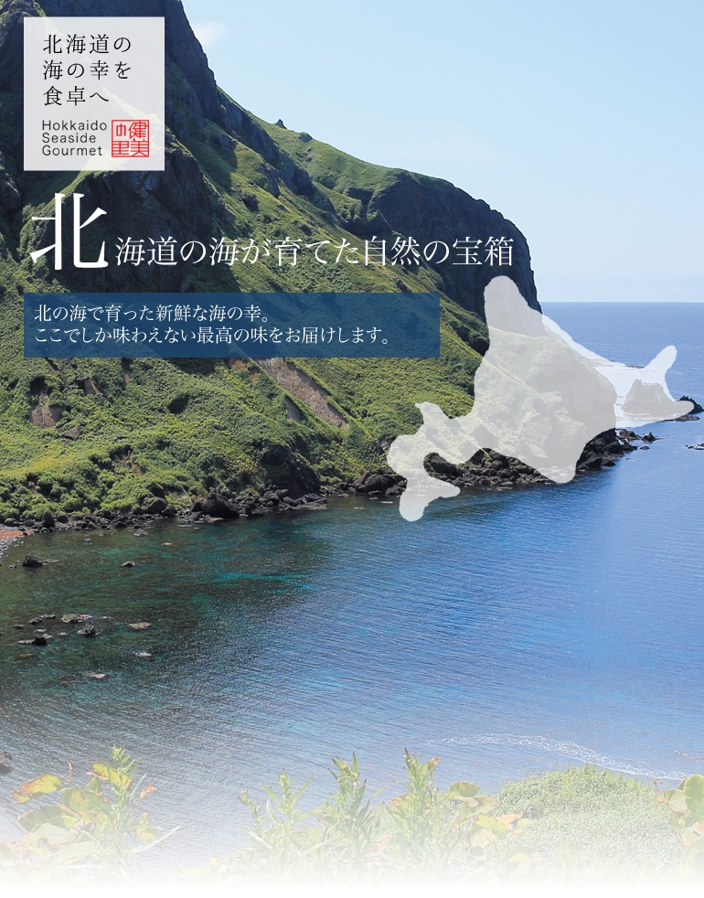 北海道の海が育てた自然の宝箱 トラウトサーモンルイベ漬