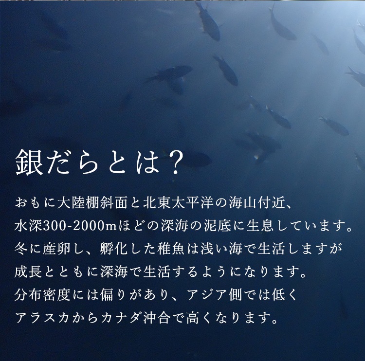 銀だら柚庵漬