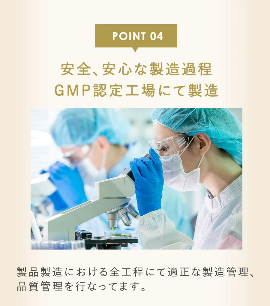 �֥����ɥӥե�